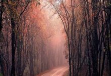 拜仁慕尼黑：红色的风暴席卷法兰西，豪取小组头名，王者姿态傲视群雄！