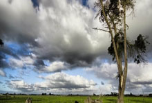 上海男篮闪耀全场，轻取山西飞虎，王者之师再添辉煌！