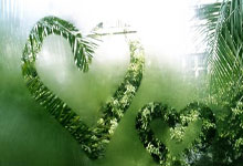 水晶宫主场告负阿森纳，连胜脚步戛然而止，白衣军团何去何从？