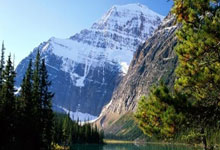 强力对话，球员尽显能力——从沟通到冠军的蜕变