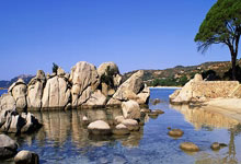 拜仁慕尼黑：红色的风暴席卷法兰西，豪取小组头名，王者姿态傲视群雄！